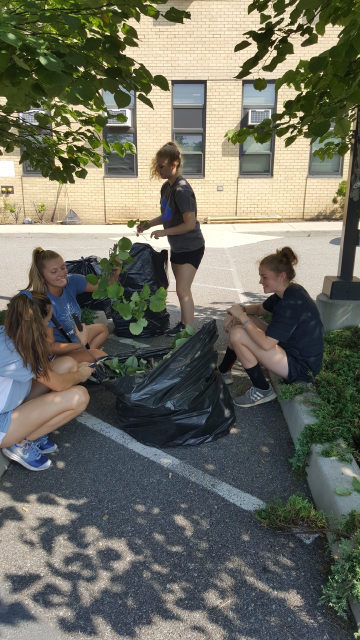 Youth group of girls helping picking leaves from trees at senior housing residences