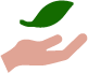 Icon of a hand holding a leaf
