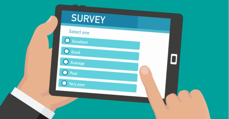 survey icon