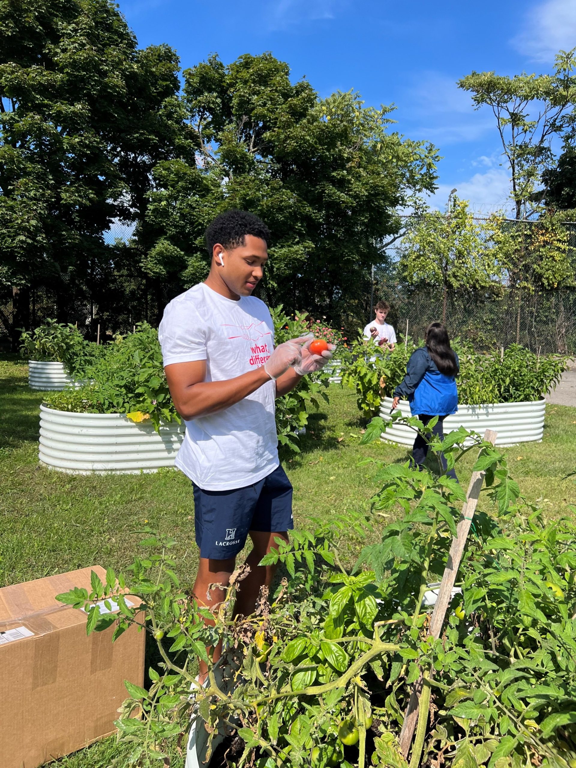 Garden Cleanup 2