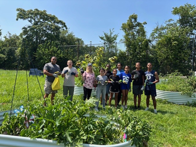 members at the summer gardening projects