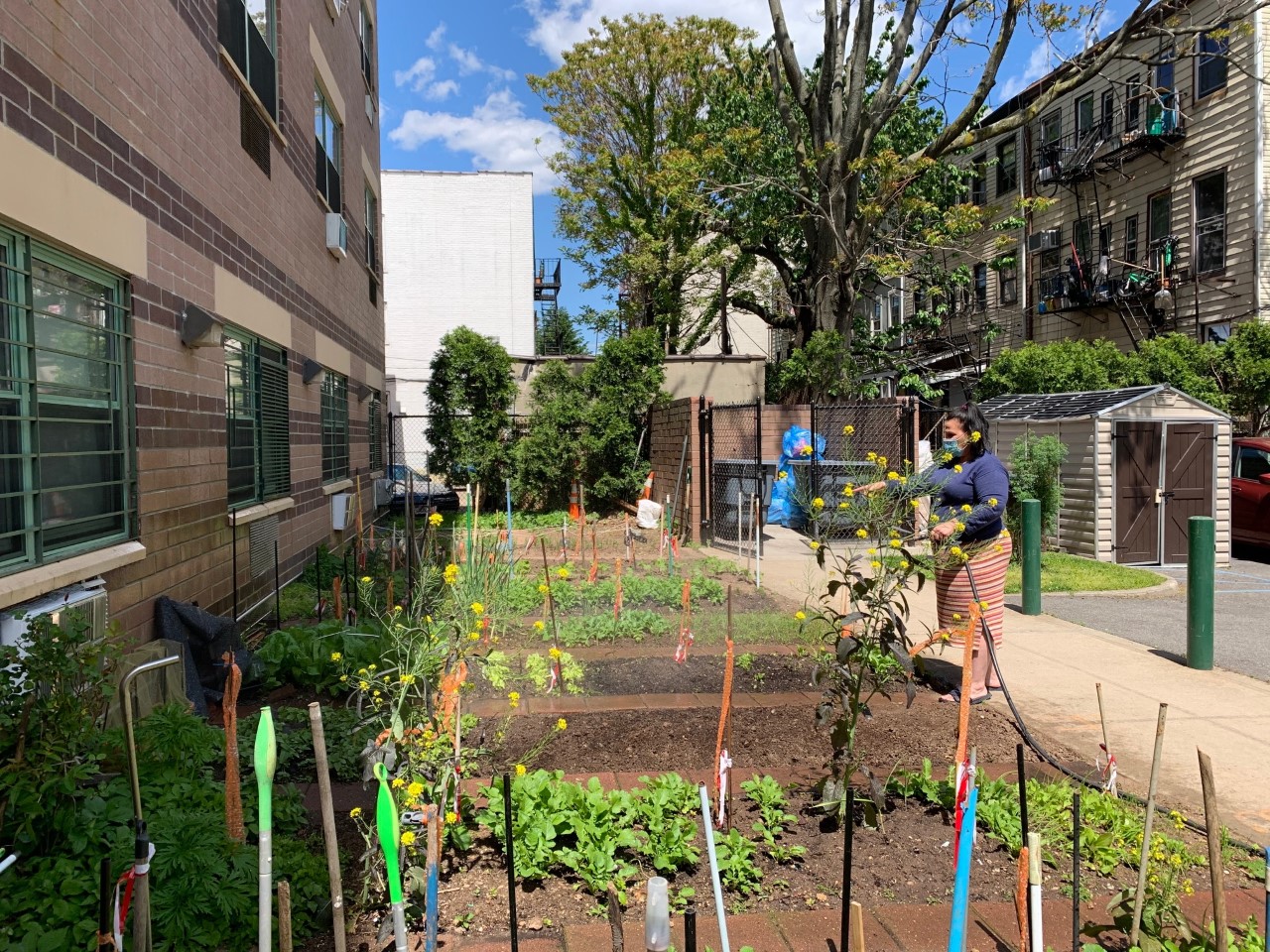 catholic charities brooklyn and queens gardening project