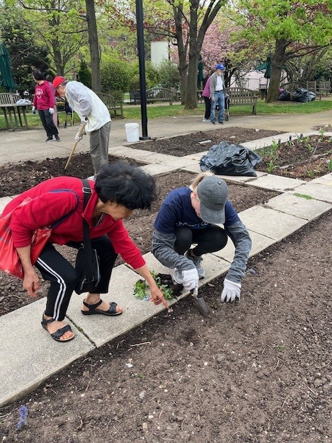 volunteers gardening at the catholic charities bishop boardman senior apartments in park slope