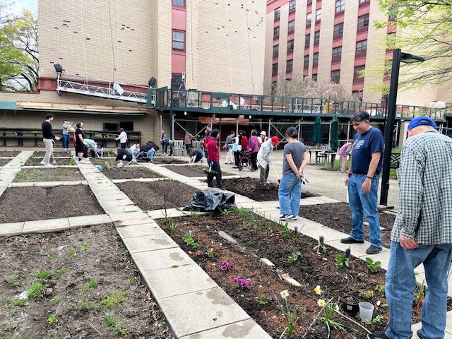 Gardening with the Catholic Charities Next Generation Committee Volunteers at the bishop boardlan senior apartments