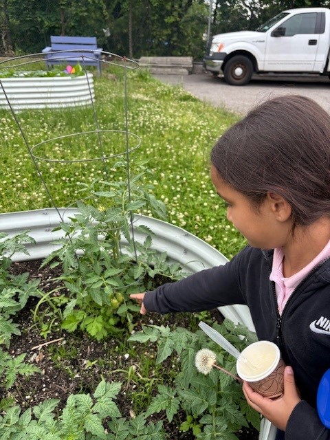 a little girl gardening in howard beach