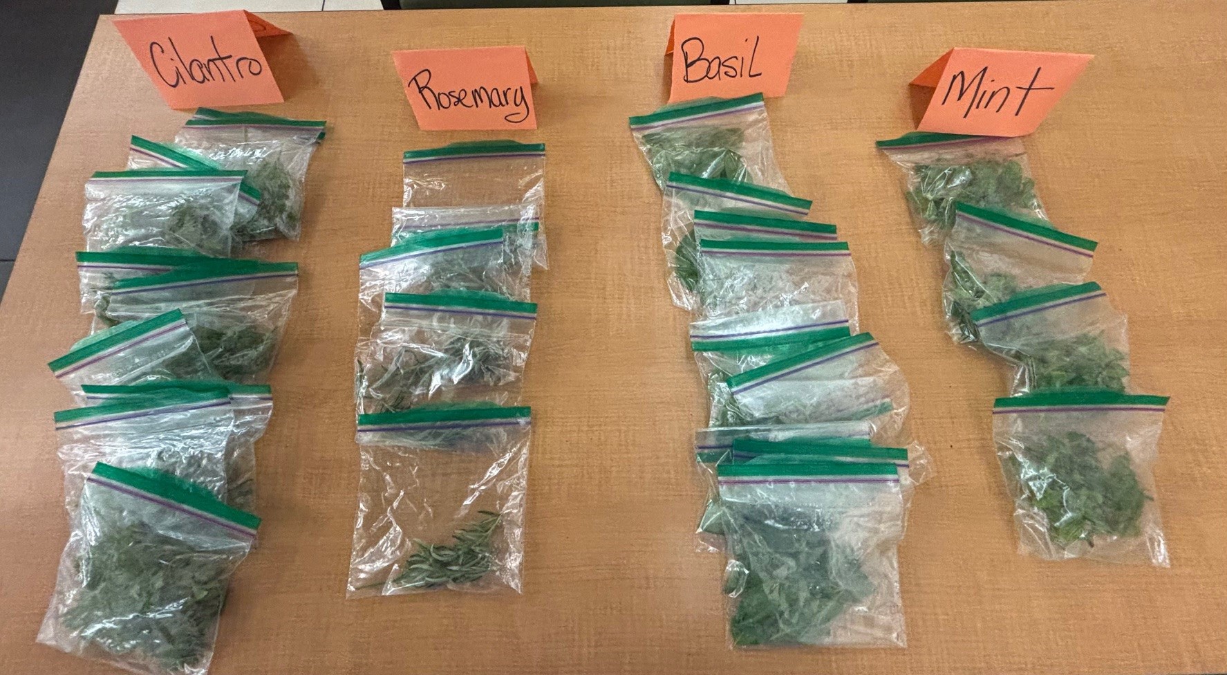 little bags of harvested cilantro, rosemary, basil and mint