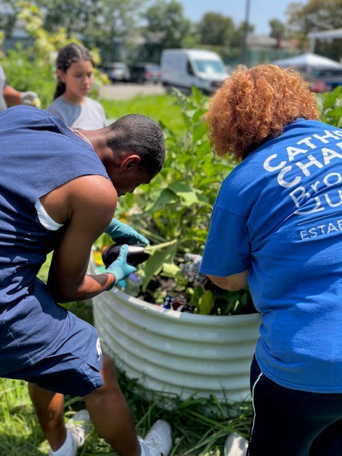 members cultivating the plants at the summer gardening project